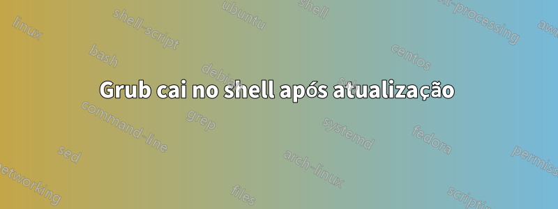 Grub cai no shell após atualização