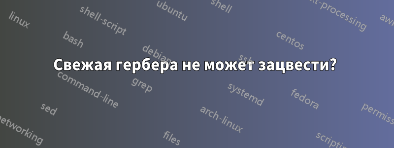 Свежая гербера не может зацвести?