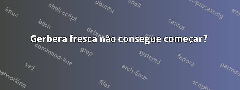 Gerbera fresca não consegue começar?