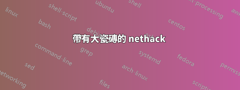 帶有大瓷磚的 nethack