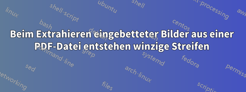 Beim Extrahieren eingebetteter Bilder aus einer PDF-Datei entstehen winzige Streifen