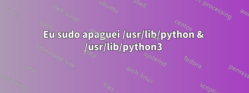 Eu sudo apaguei /usr/lib/python & /usr/lib/python3