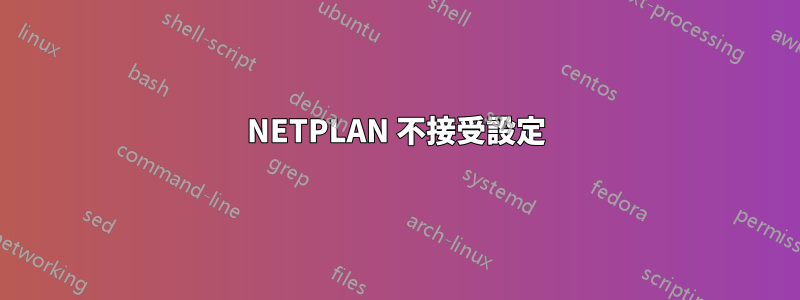 NETPLAN 不接受設定