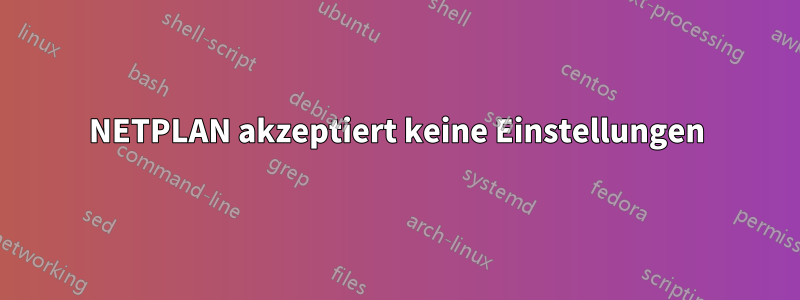 NETPLAN akzeptiert keine Einstellungen