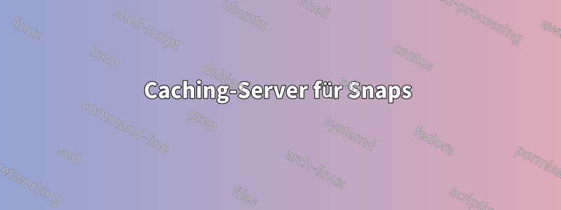 Caching-Server für Snaps