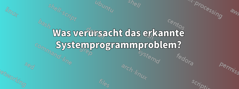 Was verursacht das erkannte Systemprogrammproblem?