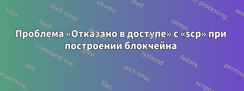 Проблема «Отказано в доступе» с «scp» при построении блокчейна