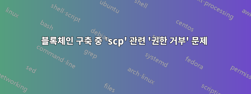 블록체인 구축 중 'scp' 관련 '권한 거부' 문제