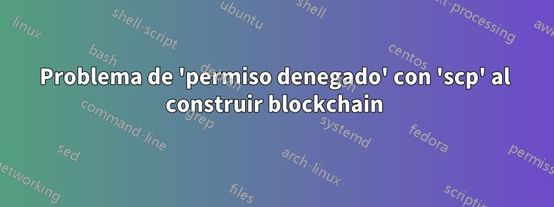 Problema de 'permiso denegado' con 'scp' al construir blockchain