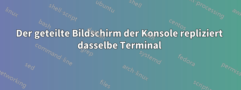 Der geteilte Bildschirm der Konsole repliziert dasselbe Terminal