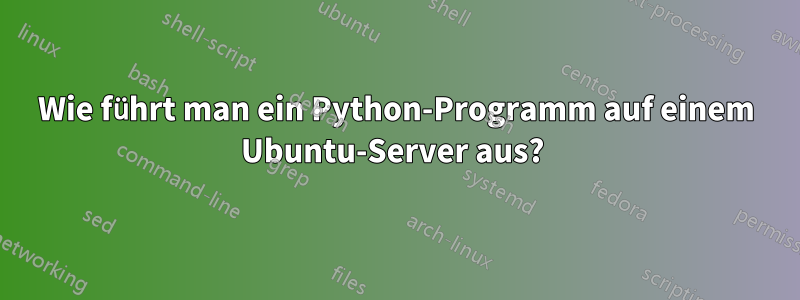 Wie führt man ein Python-Programm auf einem Ubuntu-Server aus? 