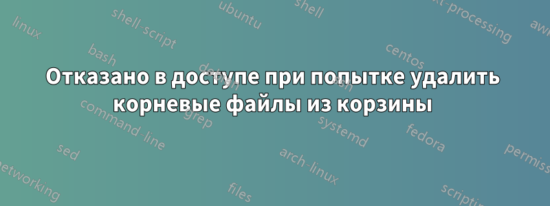 Отказано в доступе при попытке удалить корневые файлы из корзины