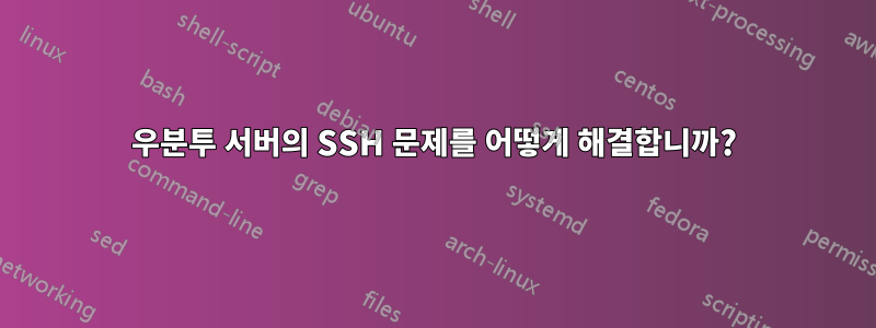 우분투 서버의 SSH 문제를 어떻게 해결합니까?