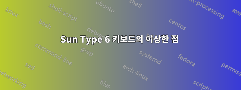 Sun Type 6 키보드의 이상한 점