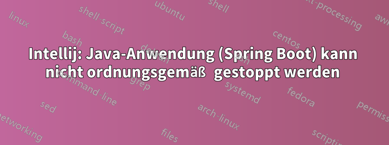 Intellij: Java-Anwendung (Spring Boot) kann nicht ordnungsgemäß gestoppt werden