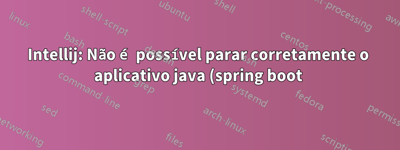 Intellij: Não é possível parar corretamente o aplicativo java (spring boot)