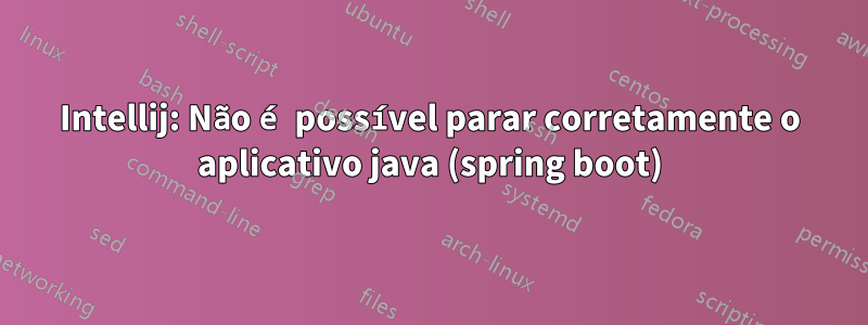 Intellij: Não é possível parar corretamente o aplicativo java (spring boot)