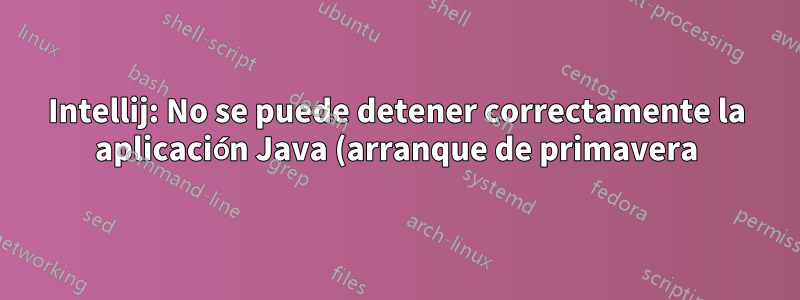 Intellij: No se puede detener correctamente la aplicación Java (arranque de primavera)