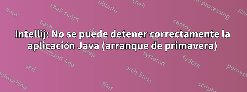 Intellij: No se puede detener correctamente la aplicación Java (arranque de primavera)