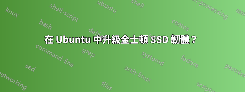 在 Ubuntu 中升級金士頓 SSD 韌體？