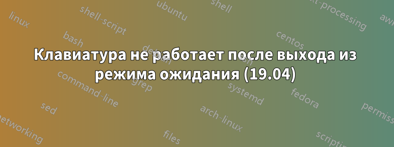 Клавиатура не работает после выхода из режима ожидания (19.04)