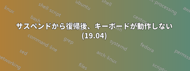 サスペンドから復帰後、キーボードが動作しない (19.04)