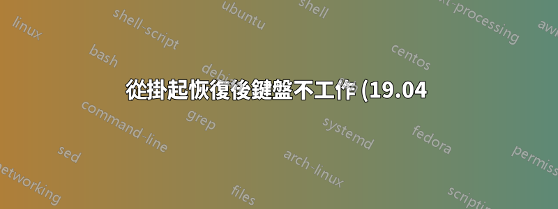 從掛起恢復後鍵盤不工作 (19.04)