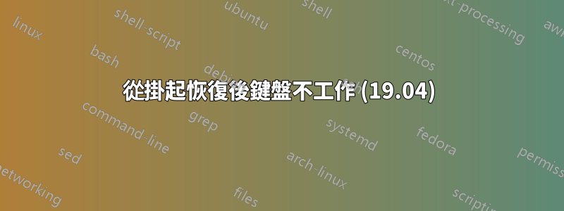 從掛起恢復後鍵盤不工作 (19.04)