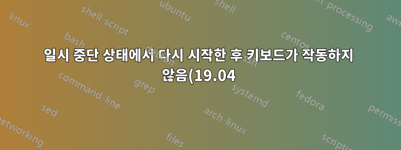 일시 중단 상태에서 다시 시작한 후 키보드가 작동하지 않음(19.04)