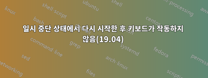 일시 중단 상태에서 다시 시작한 후 키보드가 작동하지 않음(19.04)