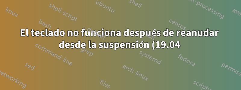 El teclado no funciona después de reanudar desde la suspensión (19.04)