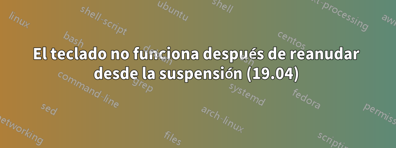 El teclado no funciona después de reanudar desde la suspensión (19.04)