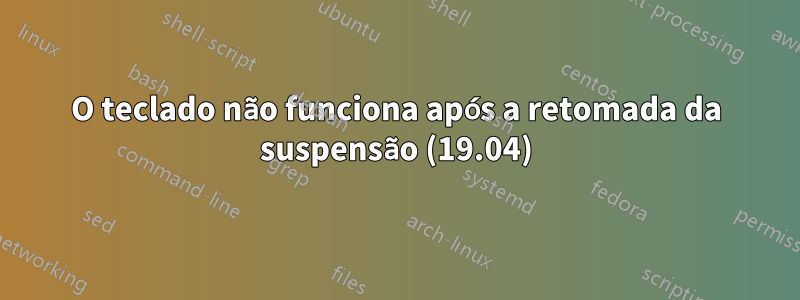 O teclado não funciona após a retomada da suspensão (19.04)