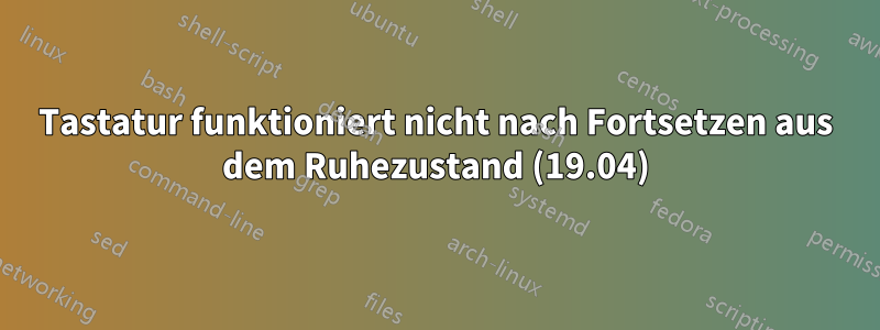 Tastatur funktioniert nicht nach Fortsetzen aus dem Ruhezustand (19.04)