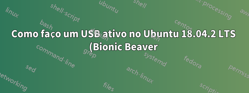 Como faço um USB ativo no Ubuntu 18.04.2 LTS (Bionic Beaver)?