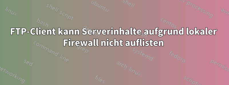 FTP-Client kann Serverinhalte aufgrund lokaler Firewall nicht auflisten