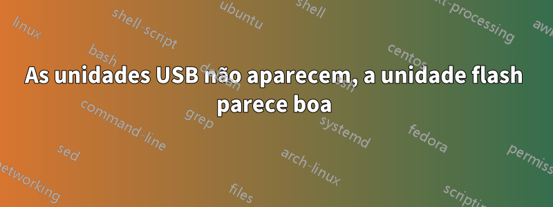 As unidades USB não aparecem, a unidade flash parece boa