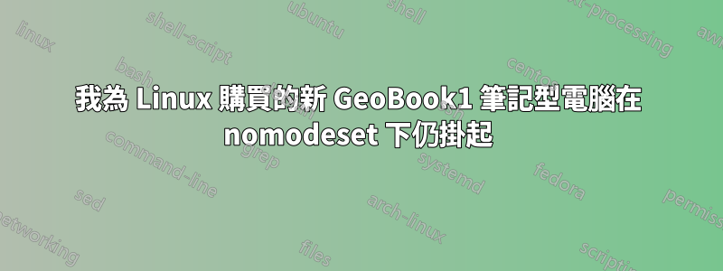 我為 Linux 購買的新 GeoBook1 筆記型電腦在 nomodeset 下仍掛起