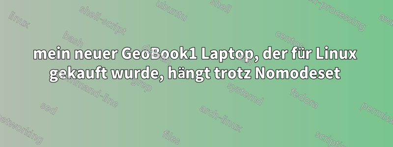 mein neuer GeoBook1 Laptop, der für Linux gekauft wurde, hängt trotz Nomodeset