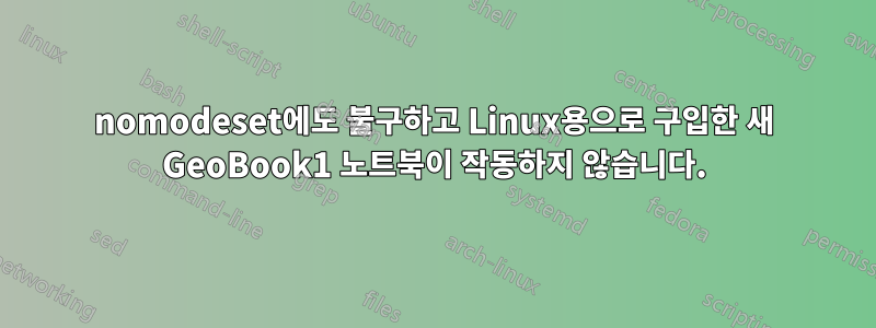 nomodeset에도 불구하고 Linux용으로 구입한 새 GeoBook1 노트북이 작동하지 않습니다.