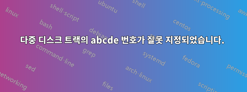 다중 디스크 트랙의 abcde 번호가 잘못 지정되었습니다.