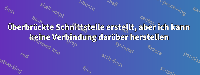 Überbrückte Schnittstelle erstellt, aber ich kann keine Verbindung darüber herstellen