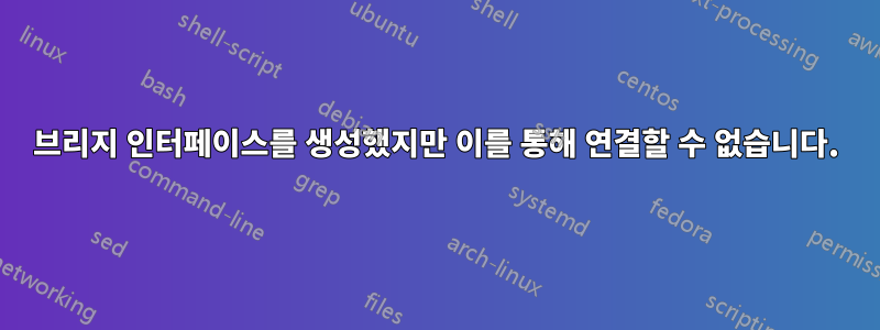 브리지 인터페이스를 생성했지만 이를 통해 연결할 수 없습니다.