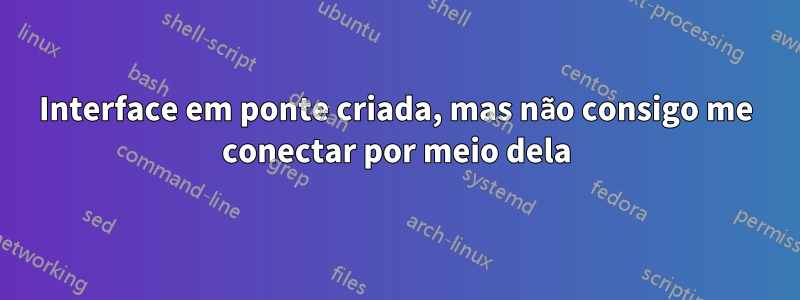 Interface em ponte criada, mas não consigo me conectar por meio dela