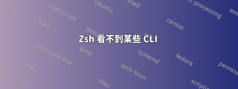 Zsh 看不到某些 CLI