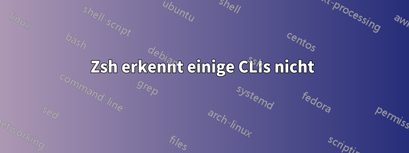 Zsh erkennt einige CLIs nicht