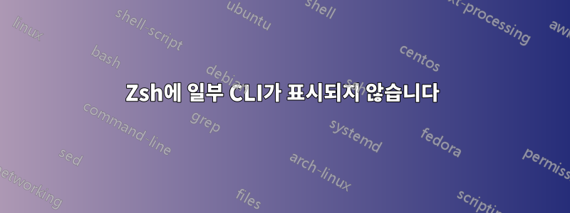 Zsh에 일부 CLI가 표시되지 않습니다