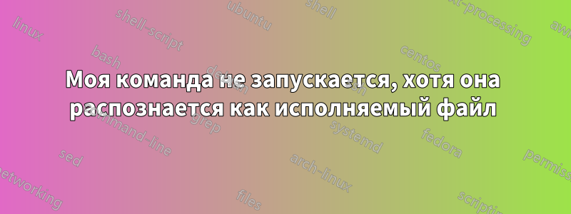 Моя команда не запускается, хотя она распознается как исполняемый файл