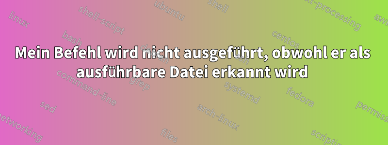 Mein Befehl wird nicht ausgeführt, obwohl er als ausführbare Datei erkannt wird