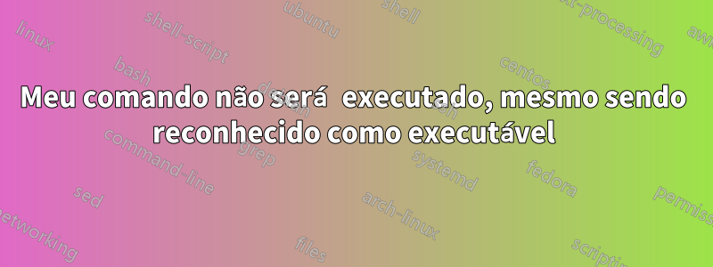 Meu comando não será executado, mesmo sendo reconhecido como executável